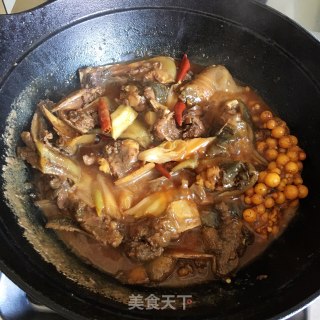 红烧甲鱼的做法步骤：5