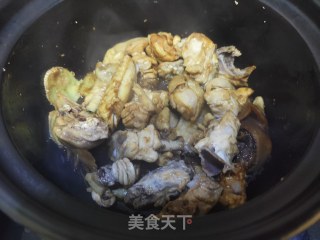 花甲鸡煲的做法步骤：4