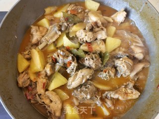 柴鸡炖土豆的做法步骤：15