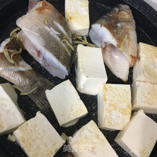 鲈鱼炖豆腐的做法步骤：4