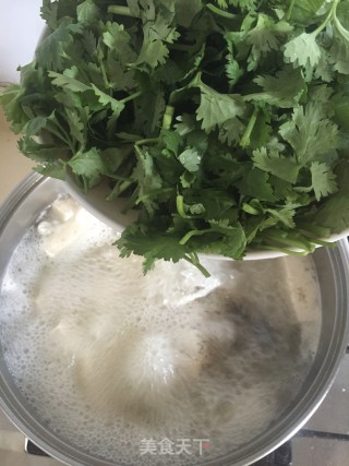 芫荽白鲫汤的做法步骤：8