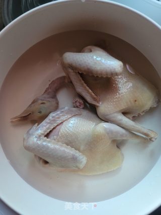 椰汁煲鸽子的做法步骤：3