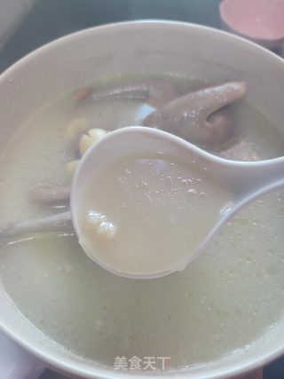 椰汁煲鸽子的做法步骤：11