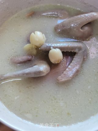 椰汁煲鸽子的做法步骤：12