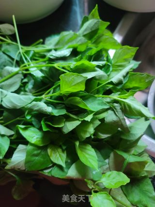 枸杞嫩芽肉片汤的做法步骤：1