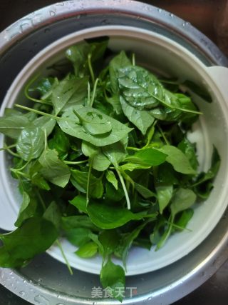 枸杞嫩芽肉片汤的做法步骤：2