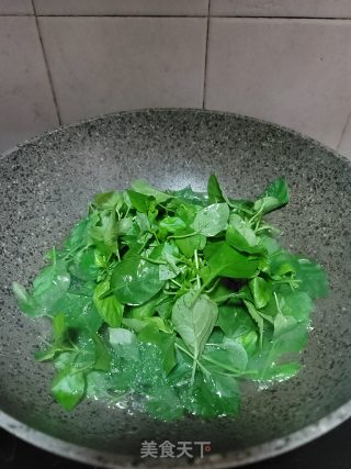 枸杞嫩芽肉片汤的做法步骤：4
