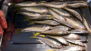小河鱼贴饼子的做法步骤：1
