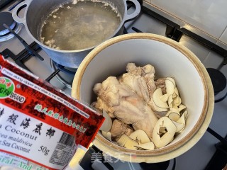 海底椰炖鳄鱼肉汤的做法步骤：3