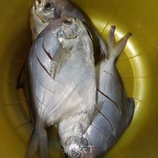 煎银鲳鱼的做法步骤：2