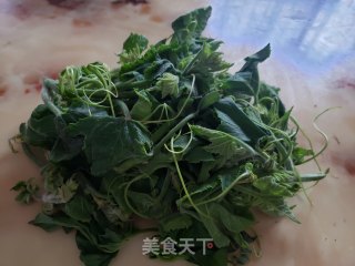 南瓜芽尖炒鸡蛋的做法步骤：4