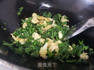 南瓜芽尖炒鸡蛋的做法步骤：7