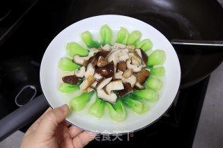 无油少盐清肠的白灼香菇油菜芯的做法步骤：7