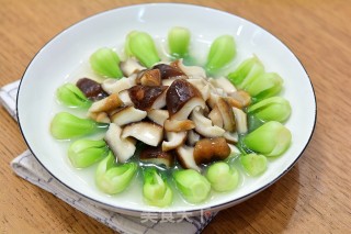 无油少盐清肠的白灼香菇油菜芯的做法步骤：8