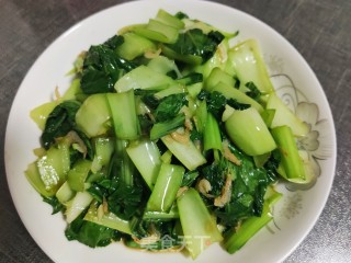 清炒小油菜的做法步骤：12