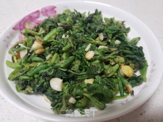 蒜蓉南瓜芽尖的做法步骤：6