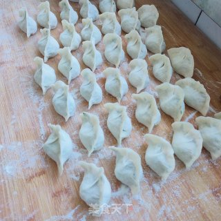 莲藕韭菜猪肉水饺的做法步骤：10