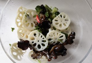 木耳黄瓜拌莲藕的做法步骤：9