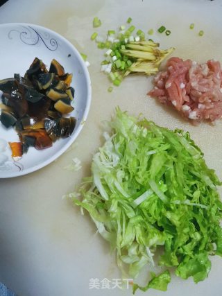 皮蛋瘦肉粥的做法步骤：4