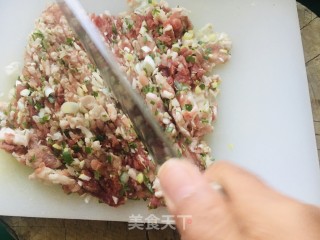 大肉萝卜饺子的做法步骤：3