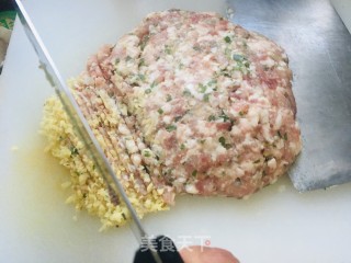 大肉萝卜饺子的做法步骤：4