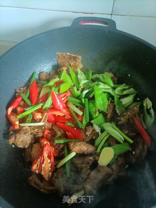 红烧鹅肉的做法步骤：11