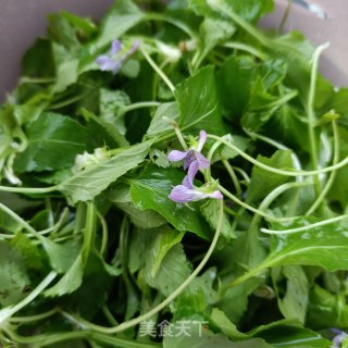鸡蛋炒紫花地丁的做法步骤：3