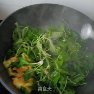 鸡蛋炒紫花地丁的做法步骤：10