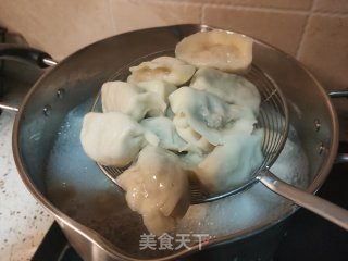 猪肉白菜饺子的做法步骤：15