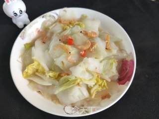 红虾烧白菜的做法步骤：9