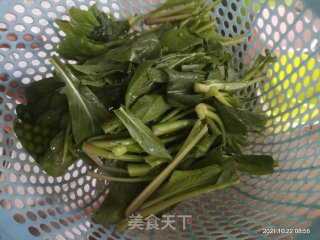 瘦肉油菜汤的做法步骤：1