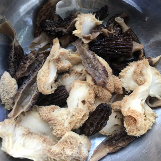 猴头菇羊肚菌鸡汤的做法步骤：4