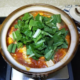番茄鸡蛋炖豆腐的做法步骤：9