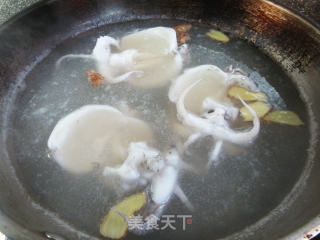 口水乌贼的做法步骤：9
