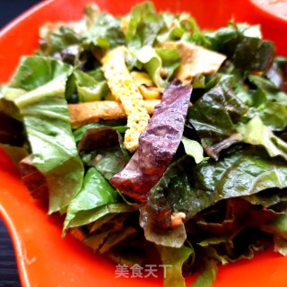 麻汁蛋饼拌生菜的做法步骤：17