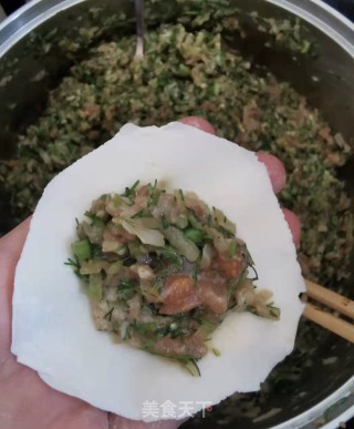 小茴香萝卜肉饺的做法步骤：8