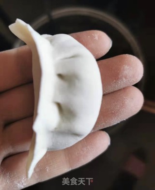 小茴香萝卜肉饺的做法步骤：9
