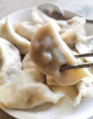 小茴香萝卜肉饺的做法步骤：11