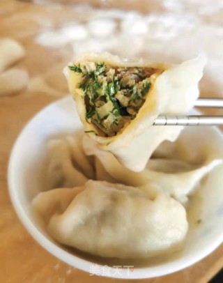 小茴香萝卜肉饺的做法步骤：12