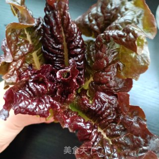 生菜烤肠沙拉的做法步骤：1