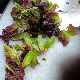 生菜鸡蛋沙拉的做法步骤：3