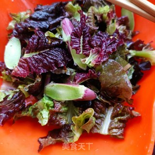 生菜鸡蛋沙拉的做法步骤：5