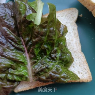 生菜火腿三明治的做法步骤：6