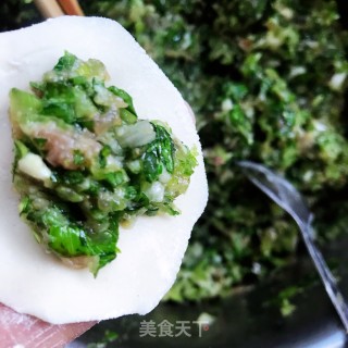 大葱芹菜鲜肉水饺的做法步骤：8