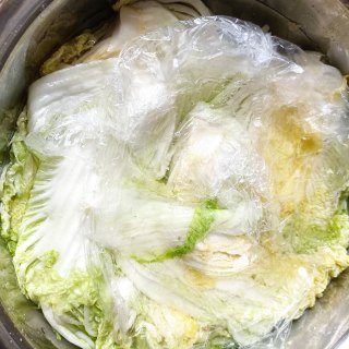 高丽辣白菜的做法步骤：6