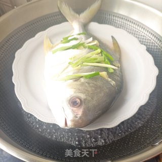 葱油金鲳鱼的做法步骤：4