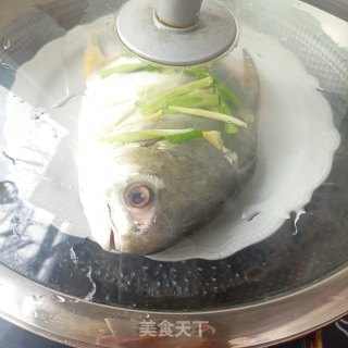 葱油金鲳鱼的做法步骤：5