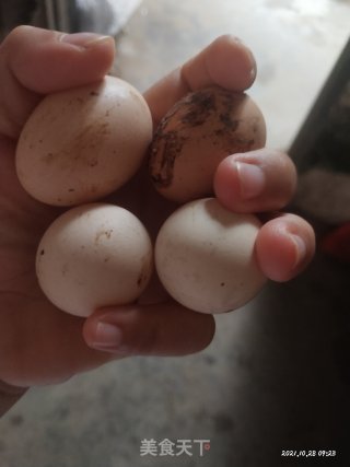 煎蛋的做法步骤：1