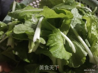 素炒小白菜苗的做法步骤：1