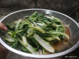 素炒小白菜苗的做法步骤：6